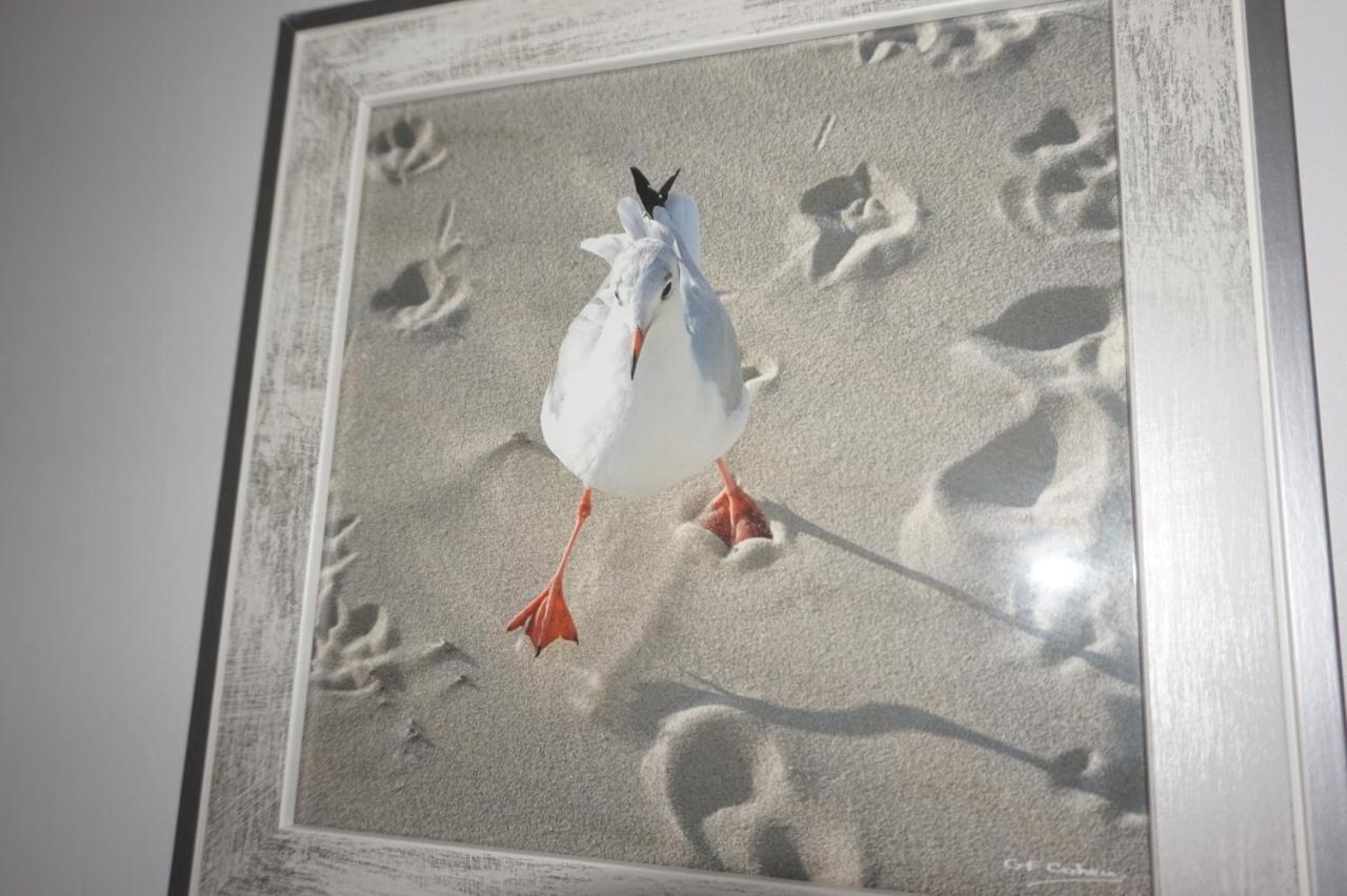 Appartement De Standing Berck Zewnętrze zdjęcie